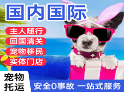 两江航空托运国际宠物托运 【国